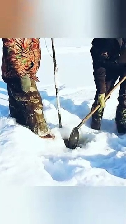 Big Fish Caught In Ice Fishing #fishing