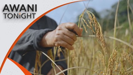 AWANI Tonight: How will digital tech enhance food security?