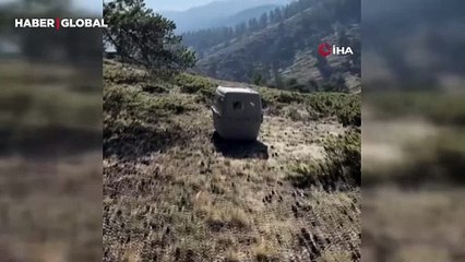 Bunalıma giren akbaba rehabilite edildi