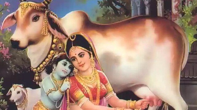 Gopashtami Vrat Katha 2024: गोपाष्टमी का पर्व क्यों मनाया जाता है, व्रत कथा | Boldsky