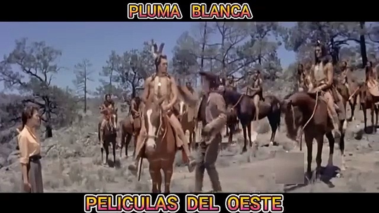 PLUMA BLANCA