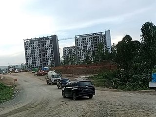 Debu IKN Membuat Daun-daun berwarna Coklat