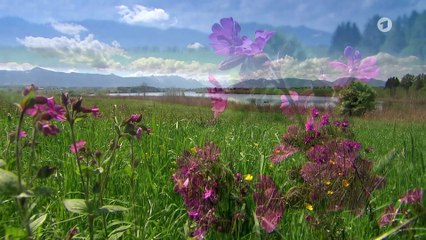 Sturm der Liebe Folge 4317 Maxis Zukunft im Hotel