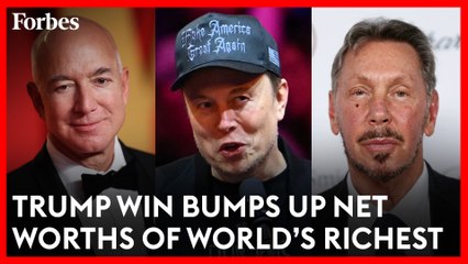 These Billionaire Fortunes Surged After Trump's Win–Bezos, Musk, And Buffet | Forbes Topline
