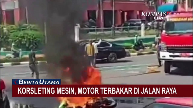 Detik-Detik Polisi Gagalkan Penyelundupan 159 KG Narkoba Jenis Ganja di Pelabuhan Bakauheni