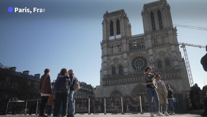 Désabusés, les commerçants de l'île de la Cité attendent la réouverture de Notre-Dame