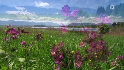 Sturm der Liebe - Maxis Zukunft im Hotel (4317)