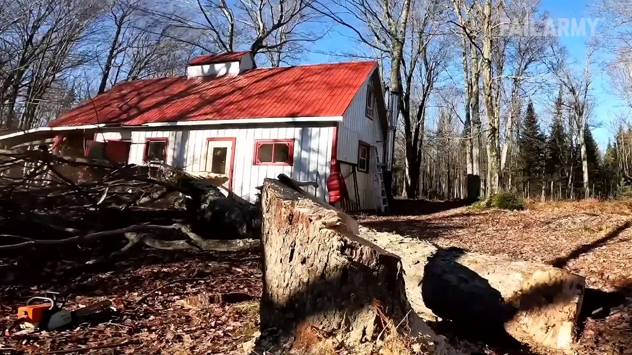 Entertainment video funny