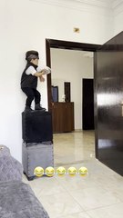 Non-Stop Laughter with Yahya Al Zoubi! 😂😂😂😂😂😂😂😂