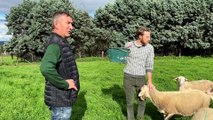 Plus de 100 ans d'histoire de famille à la Ferme Bertholet