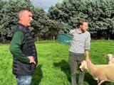 Plus de 100 ans d'histoire de famille à la Ferme Bertholet - Appétit - TL7, Télévision loire 7