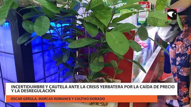 Incertidumbre y cautela ante la crisis yerbatera por la caída de precio y la desregulación