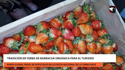 Tradición en yerba de barbacuá orgánica para el turismo