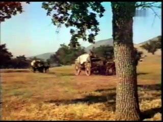 Bonanza 5x07 - Calamity a lo largo de los Comstock