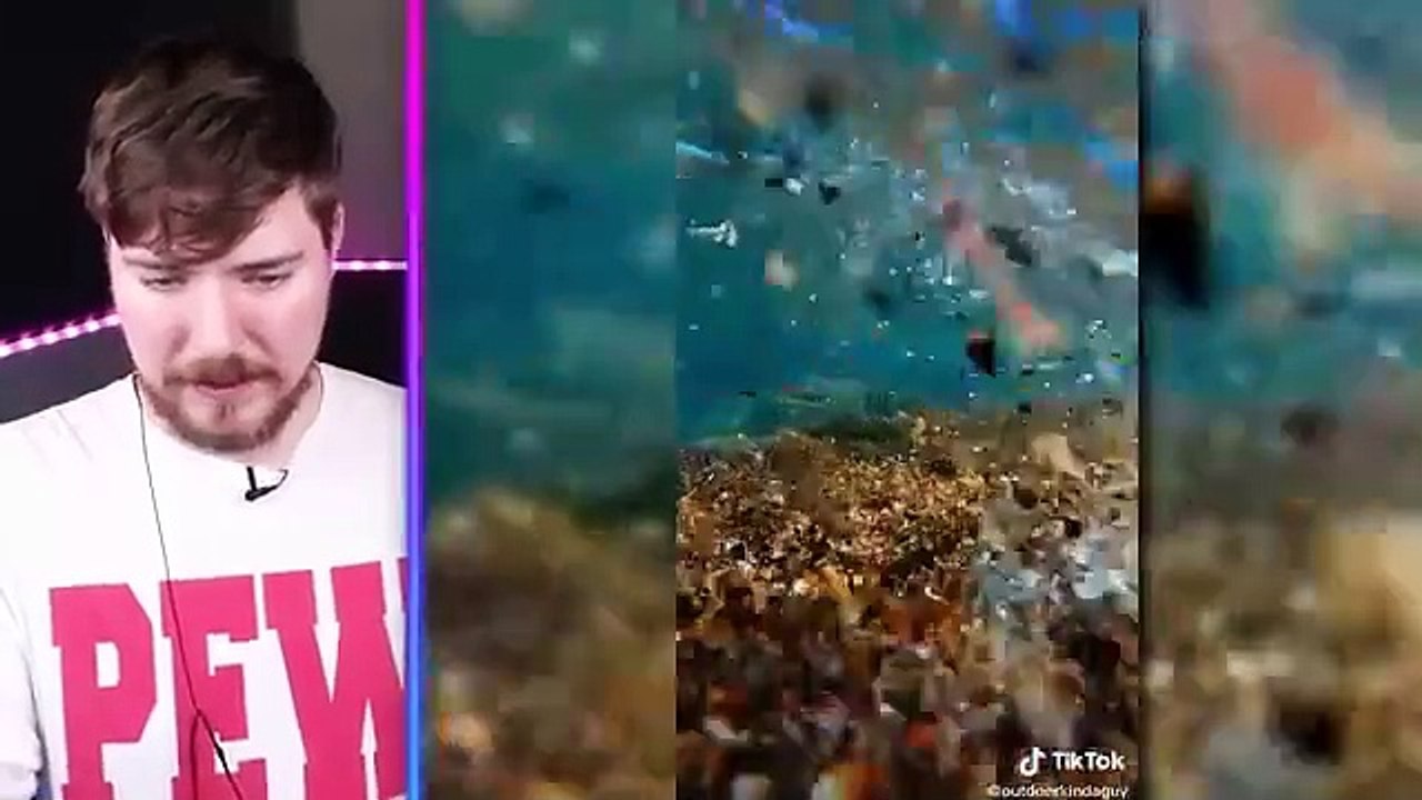 World_s Most Viewed TikToks_(360P)