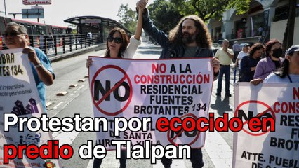 Activistas exigen a las autoridades la detención de ecocidio en predio ubicado en Tlalpan