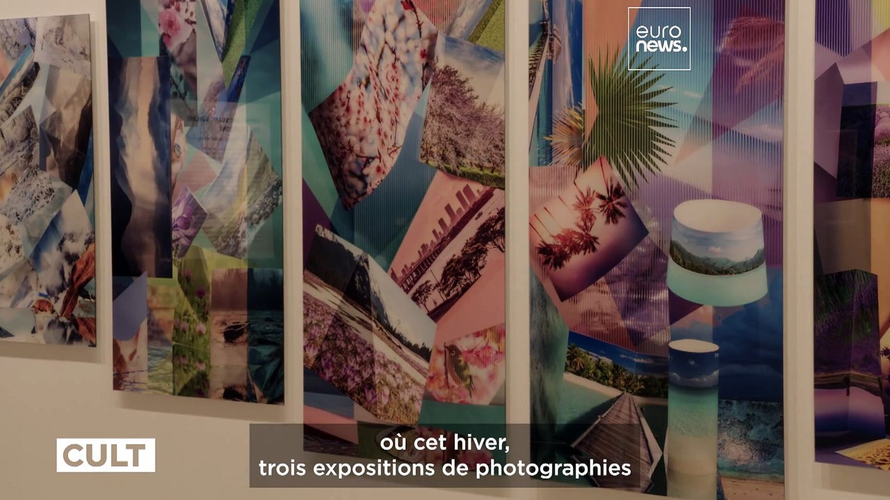 Galerie Saatchi : Trois expositions sur la vie des Noirs, le changement climatique et la communauté