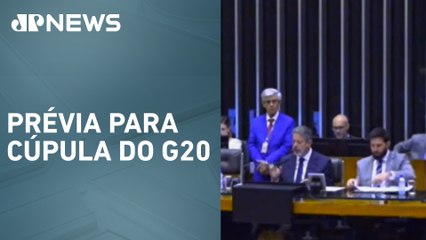 Parlamentos globais defendem proteção ambiental em reunião do P20