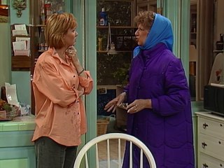 Alf Temporada 3 Capítulo 7 Español Latino