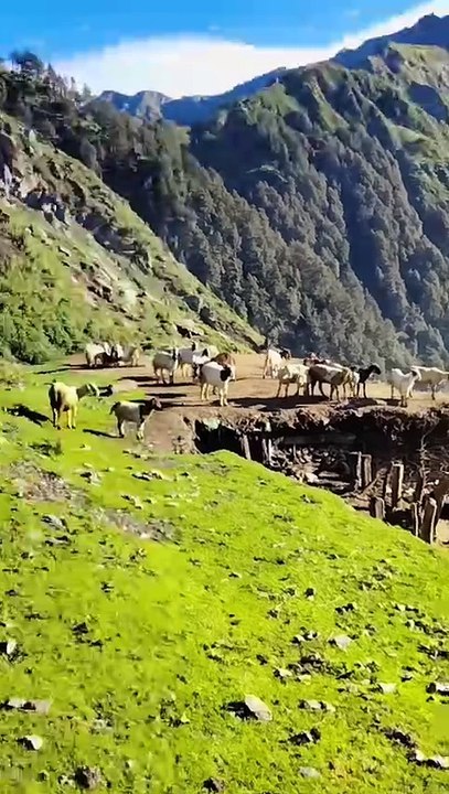 Hilly area,,,,