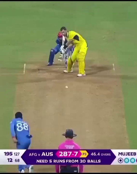 Maxwell excellent batting