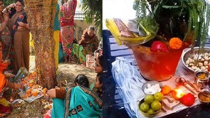 Amla Navami 2024: आंवला नवमी की पूजा कैसे करें, पूजा सामग्री, शुभ मुहूर्त | Boldsky