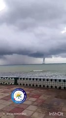 ظهور شاهقة مائية قبالة سواحل نابل في تونس..