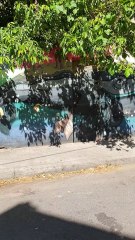 Street Art in Santiago, Chile 🎨🇨🇱