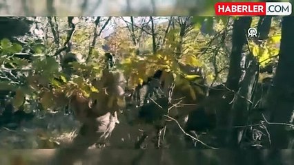 Elazığ'da terör örgütü PKK'ya ait yaşam malzemeleri ele geçirildi