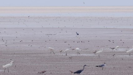 La vase source de vies