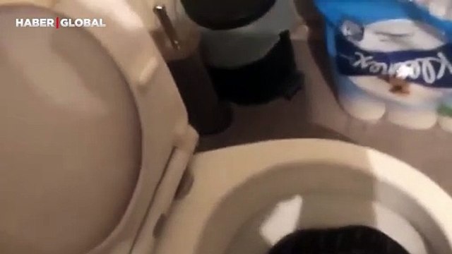 Tuvaletten çıkan devasa pitonu eliyle aldı: Alışkınım