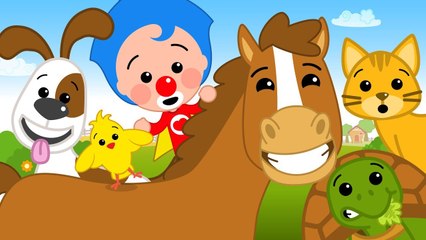 Como los Animalitos  Canciones Infantiles  Plim Plim
