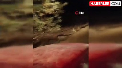 Yolüstü Köyü'nde Otluk Alanda Yangın Söndürüldü