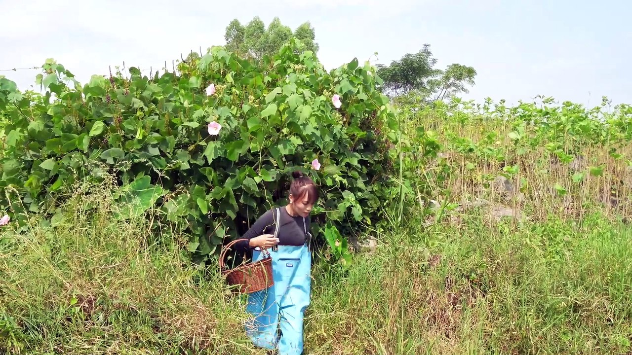 Nature's Hidden Gem- Teenager's Outdoor Adventure Ends in Rare Pearl-Filled Clam Discovery
