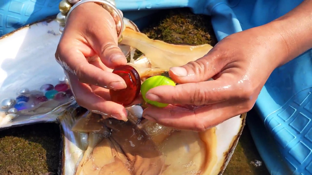 Muddy Waters Yield Fortune for Beautiful Girl- Giant, Deformed Shell Holds Surprise of Rare Pearls