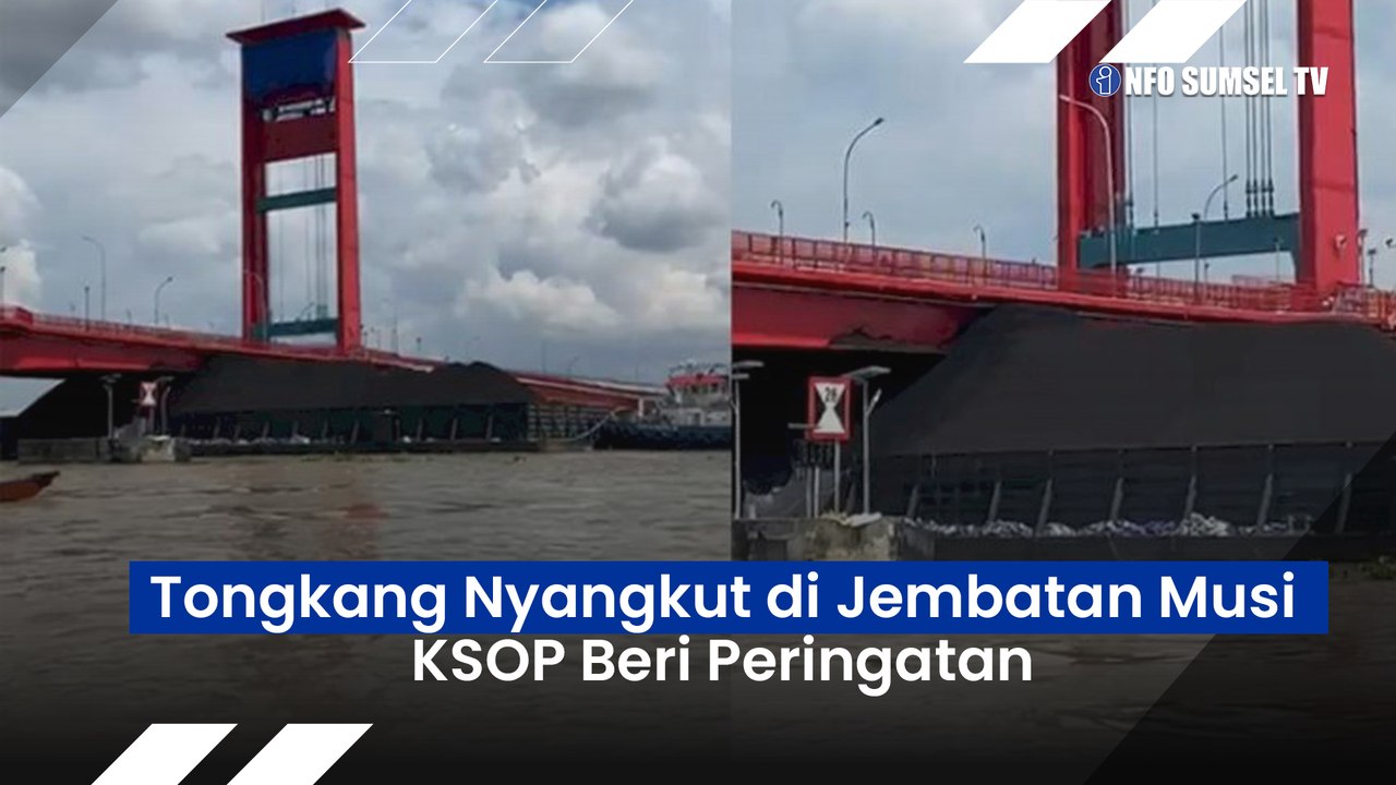 Air Pasang, Tongkang Batu Bara Nyangkut di Jembatan Musi II, KSOP Beri Peringatan !