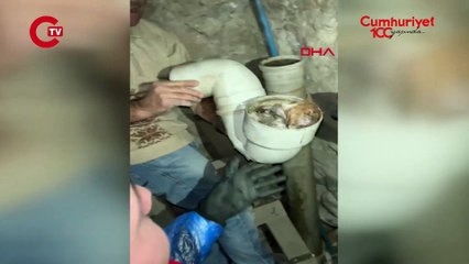 'Tuvalet giderine' sıkışan yavru kedi kurtarıldı