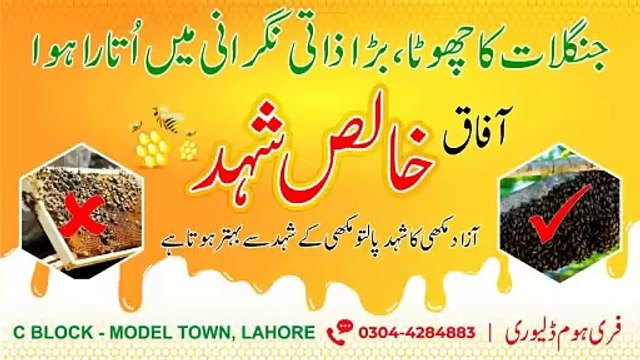 Nokri Me Taraki Ka Wazifa Wazifa For Job Success Nokri Hasil Karne Ka Rohani Ilaj Ali Afaq