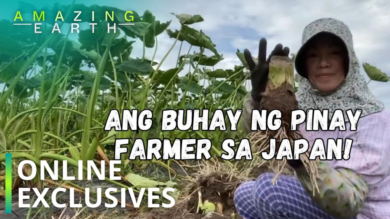 Amazing Earth: Ang karanasan ng isang Pinay farmer sa Japan! (Online Exclusives)