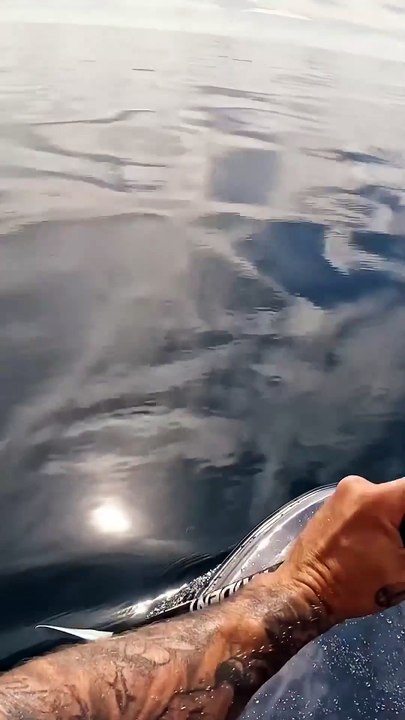 venomous sea snake got me good.._