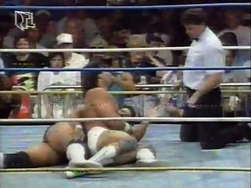 WCW Catch Up (RTLplus) 1991-08-08