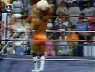 WCW Catch Up (RTLplus) 1991-07-24