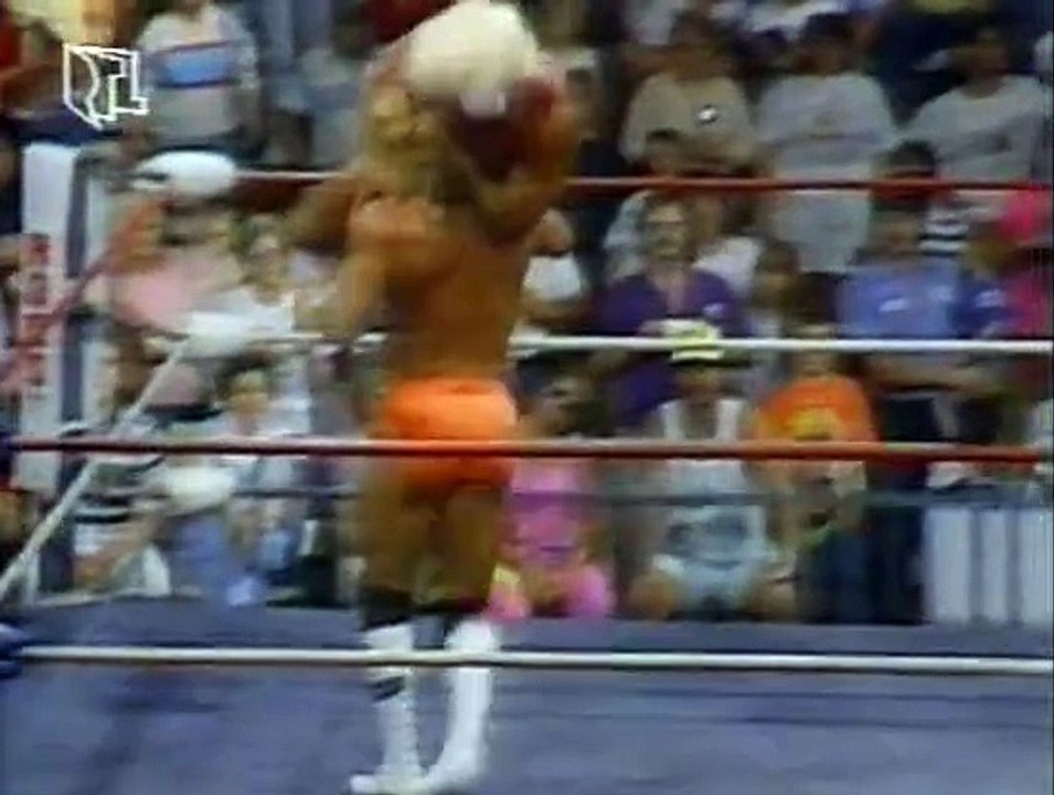 WCW Catch Up (RTLplus) 1991-07-24