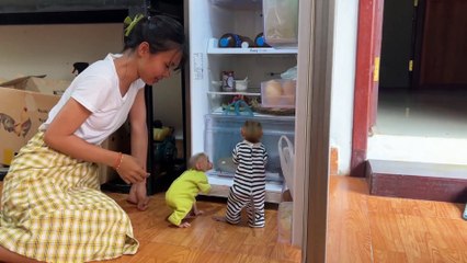 Breaking News: Donald the Baby Monkey is the Internet's Newest Viral Star!