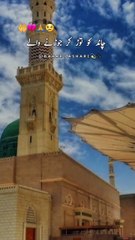 Beautiful Islamic video🌹 #islamicquotes #islamics