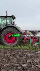 Cuộc Tái Sinh Kỳ Diệu Của Đại Bàng Bài Học Vượt Qua Khó Khăn Để Trưởng Thành #shortvideo