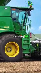 Câu Chuyện Giỏ Than Bài Học Về Sức Mạnh Của Kiến Thức Và Sự Kiên Nhẫn