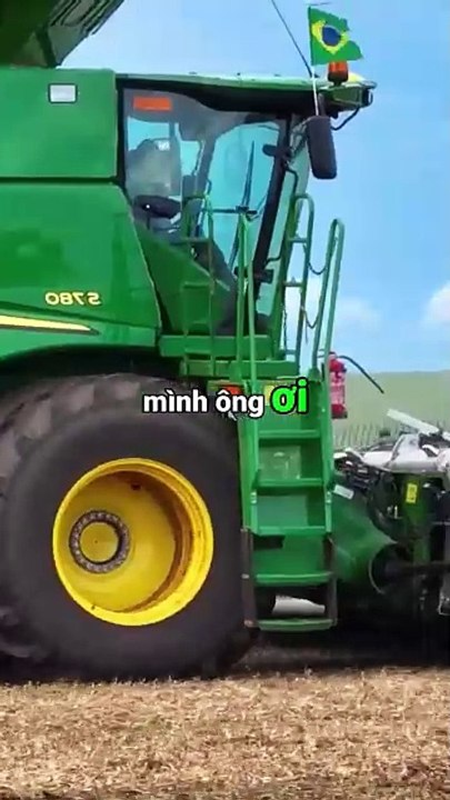 Câu Chuyện Giỏ Than Bài Học Về Sức Mạnh Của Kiến Thức Và Sự Kiên Nhẫn