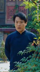 最新短剧合集：一代宗师之镇龙 🔥