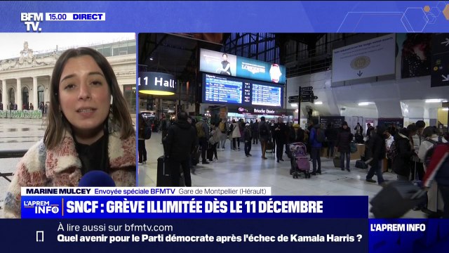 Grève SNCF: comment réagissent les voyageurs ?